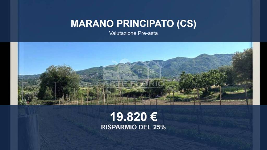 immagine annuncio 0 di 10