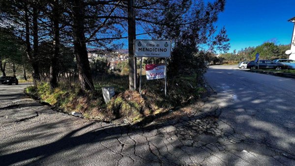 terreno agricolo in vendita a Mendicino