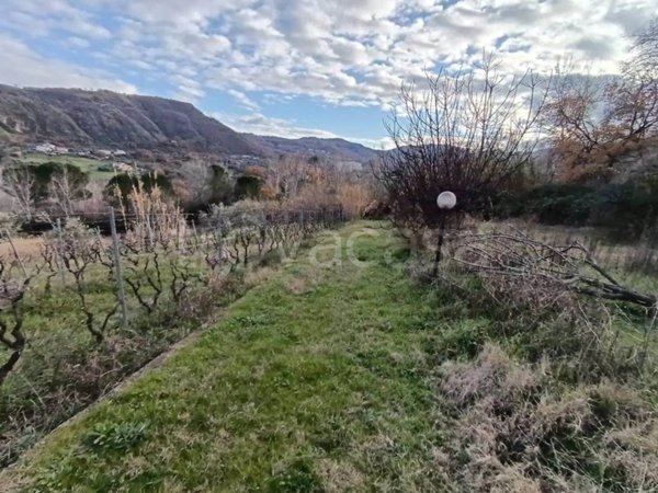 terreno agricolo in vendita a Mendicino in zona Pasquali