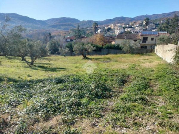 terreno agricolo in vendita a Mendicino