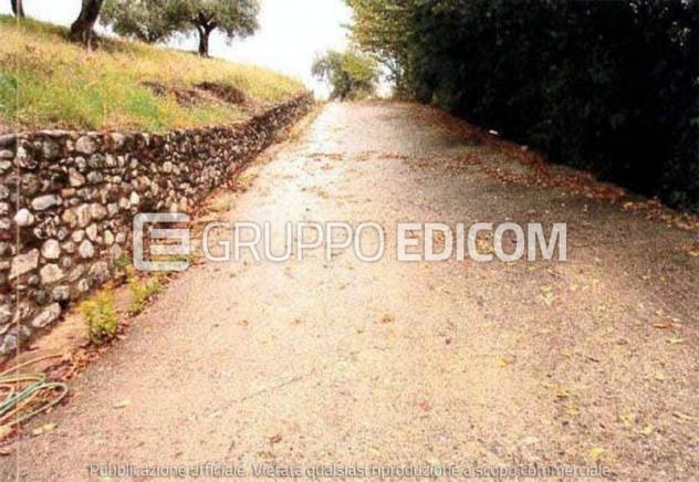 terreno agricolo in vendita a Mendicino