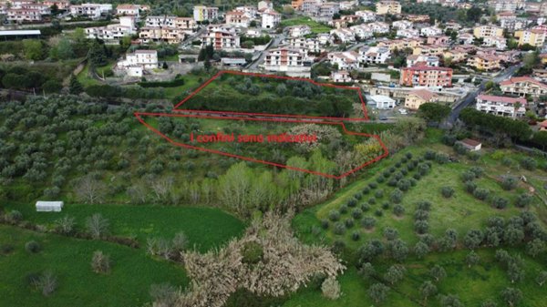 terreno agricolo in vendita a Mendicino in zona Tivolille