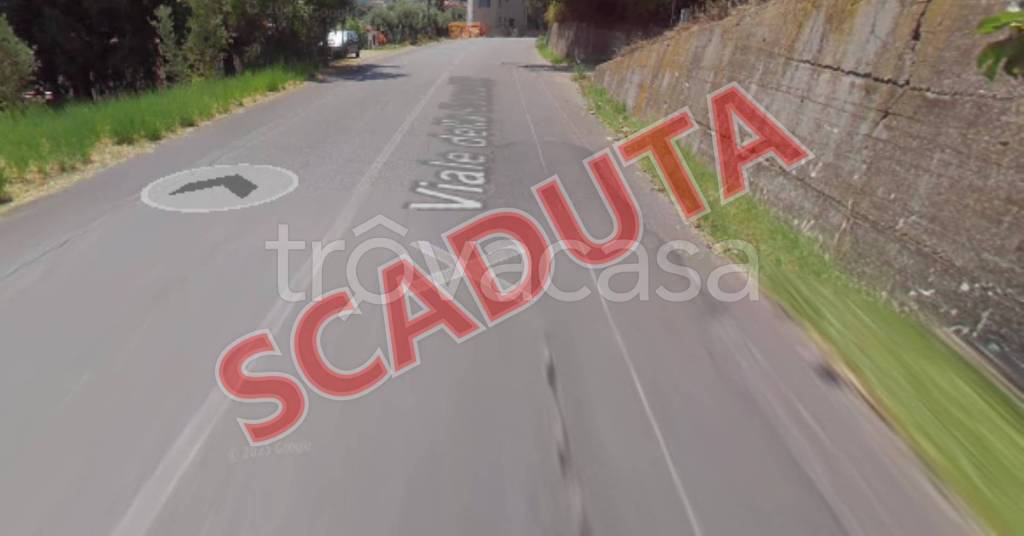 terreno agricolo in vendita a Mendicino