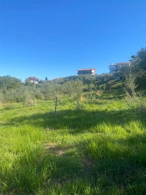 terreno agricolo in vendita a Mendicino in zona Tivolille