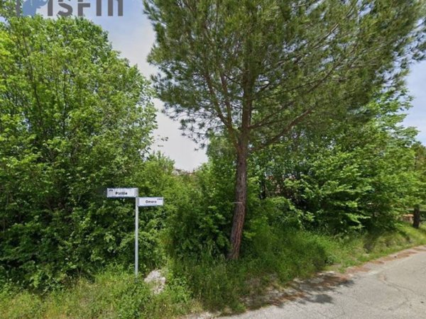 terreno agricolo in vendita a Mendicino