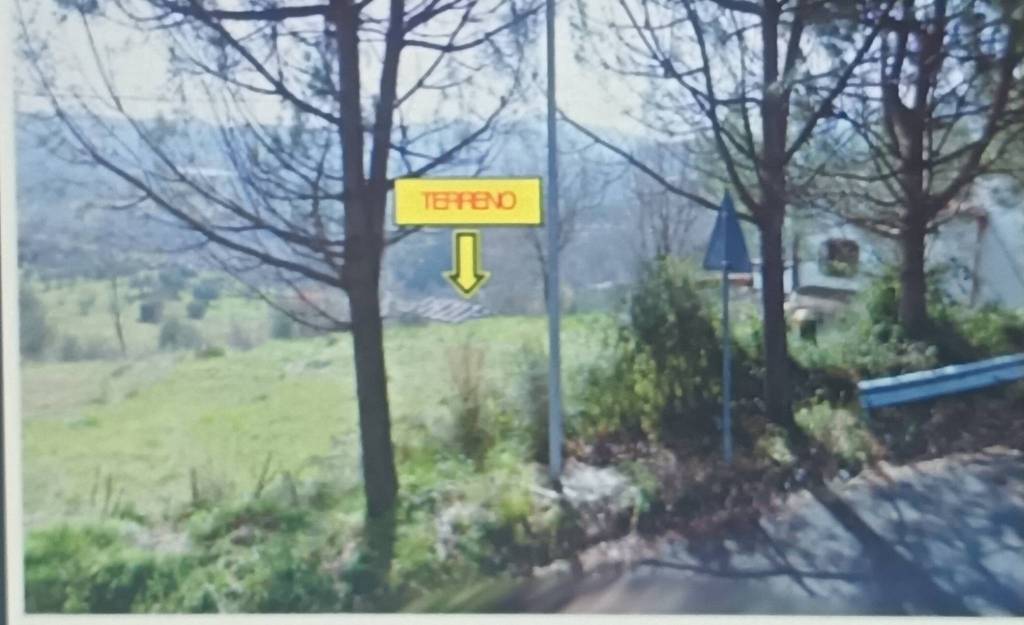 terreno agricolo in vendita a Mendicino