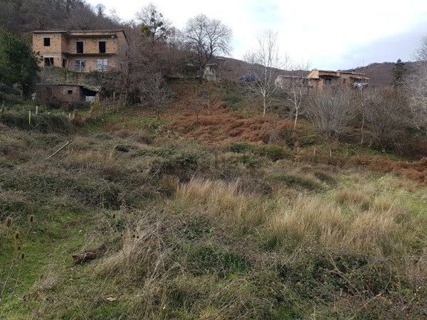 terreno agricolo in vendita a Mendicino in zona Rizzuto