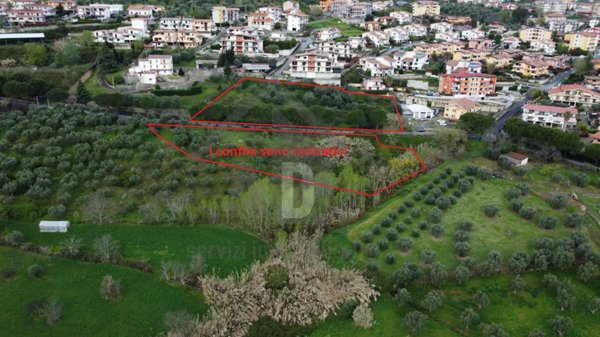 terreno agricolo in vendita a Mendicino in zona Tivolille