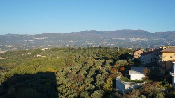 appartamento in vendita a Mendicino