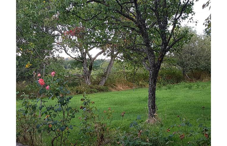casa indipendente in vendita a Mendicino in zona Rizzuto