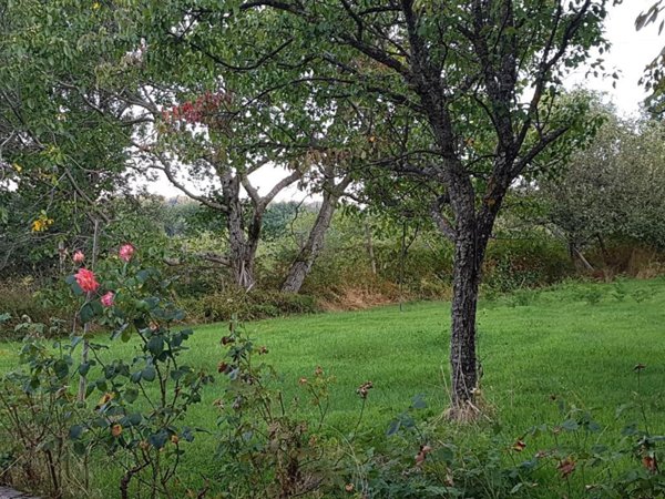 casa indipendente in vendita a Mendicino in zona Rizzuto