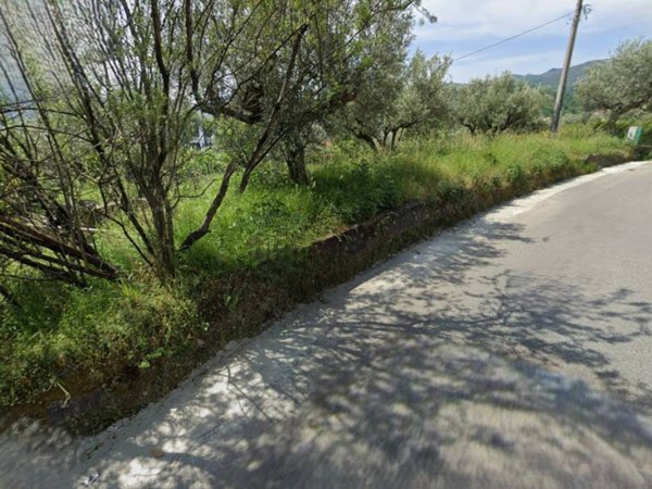 terreno agricolo in vendita a Mendicino