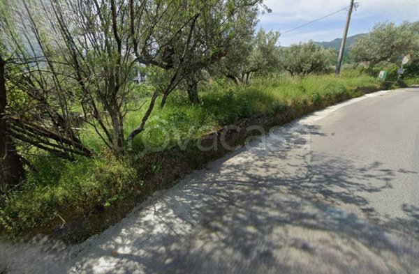 terreno agricolo in vendita a Mendicino