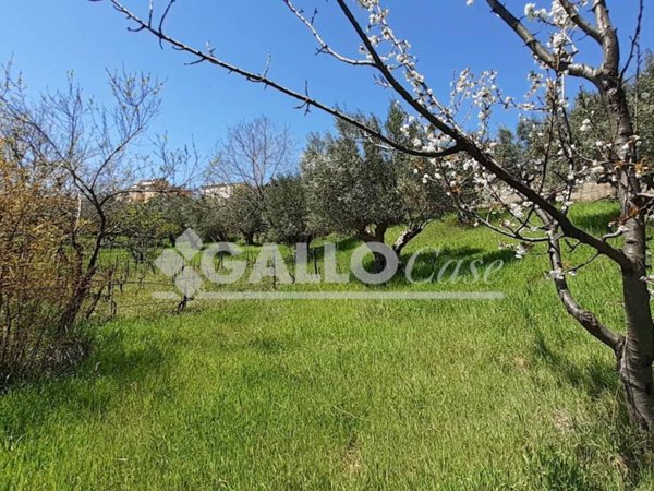 terreno agricolo in vendita a Mendicino in zona Tivolille
