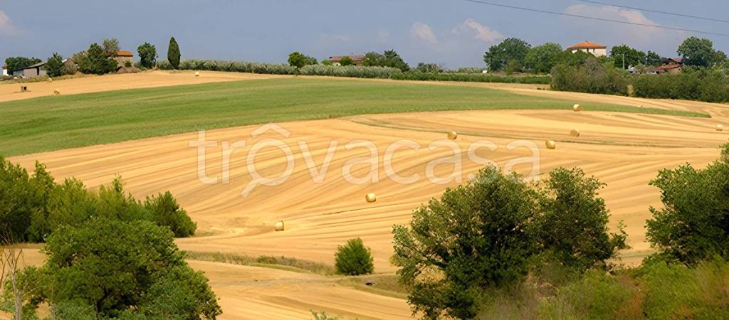 terreno agricolo in vendita a Mendicino in zona Pasquali