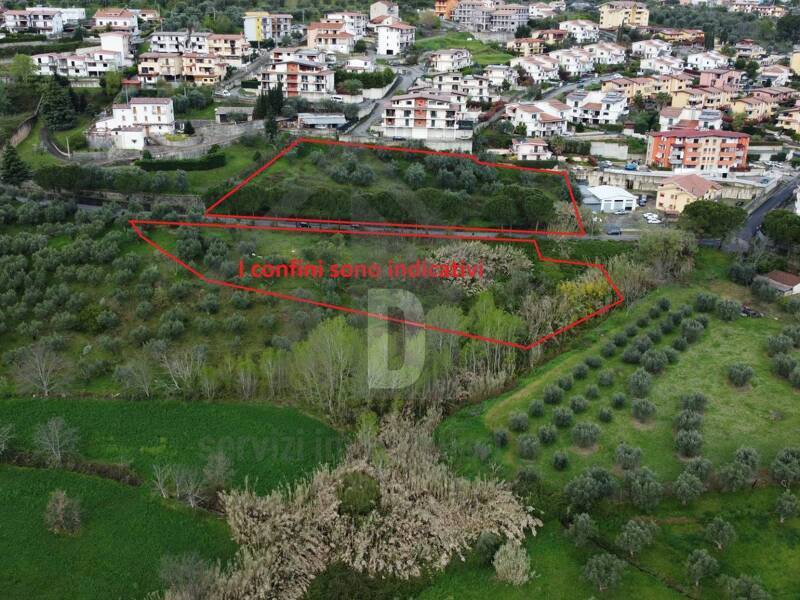 terreno agricolo in vendita a Mendicino in zona Santa Maria