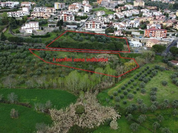 terreno agricolo in vendita a Mendicino in zona Tivolille