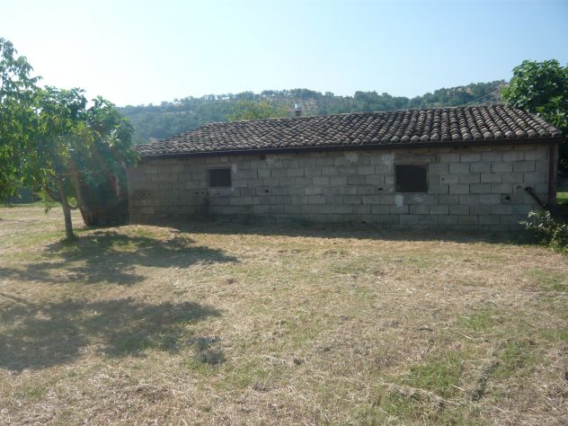 terreno agricolo in vendita a Mongrassano