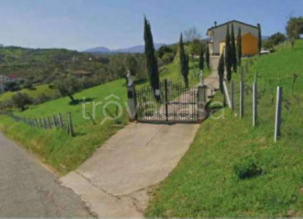 appartamento in vendita a Mongrassano