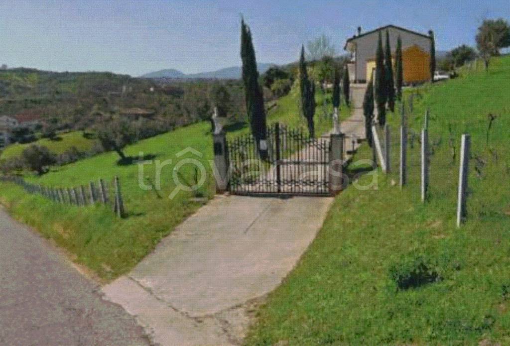 terreno agricolo in vendita a Mongrassano