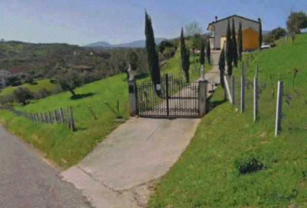terreno agricolo in vendita a Mongrassano
