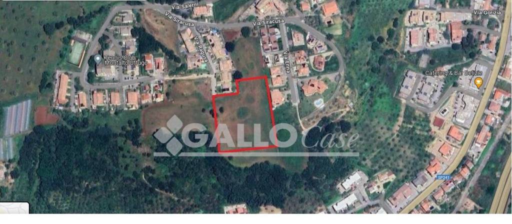 terreno agricolo in vendita a Montalto Uffugo