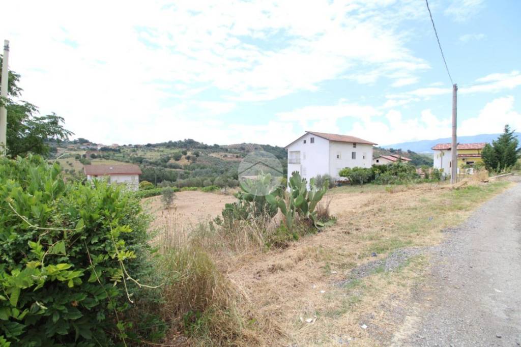 terreno agricolo in vendita a Montalto Uffugo