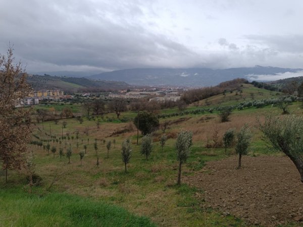 terreno agricolo in vendita a Montalto Uffugo