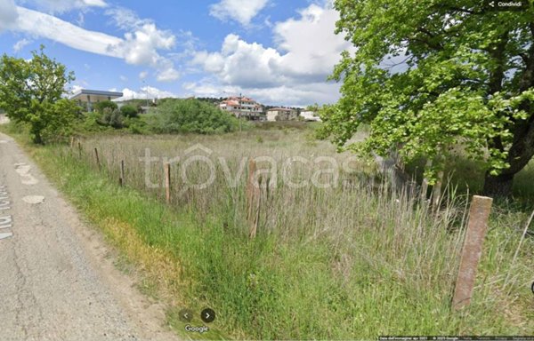 terreno agricolo in vendita a Montalto Uffugo