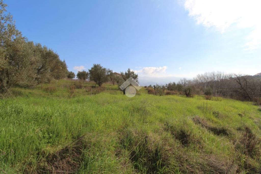 terreno agricolo in vendita a Montalto Uffugo