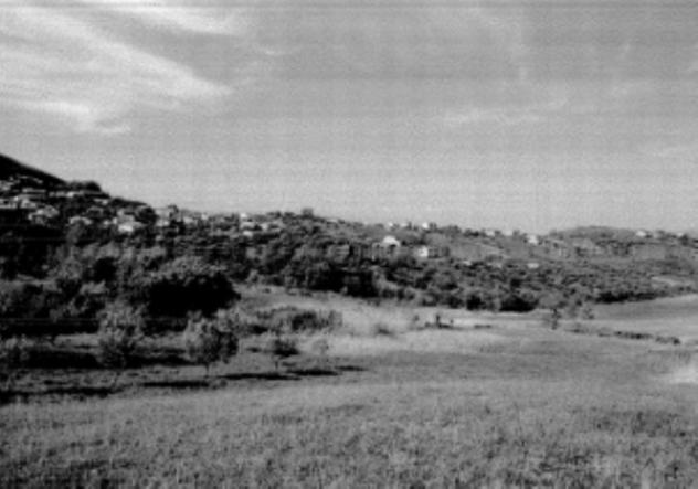 terreno agricolo in vendita a Montalto Uffugo in zona Santa Maria la Castagna