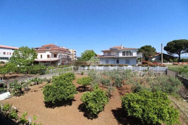 terreno agricolo in vendita a Montalto Uffugo in zona Taverna