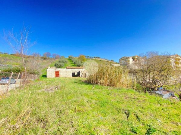 terreno agricolo in vendita a Montalto Uffugo in zona Settimo