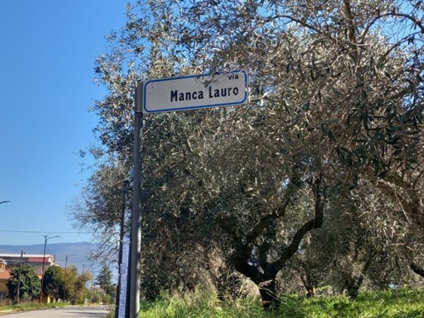 terreno agricolo in vendita a Montalto Uffugo in zona Taverna