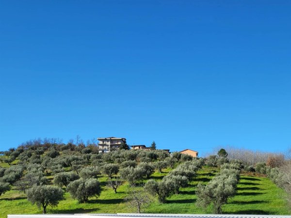 terreno edificabile in vendita a Montalto Uffugo in zona Taverna