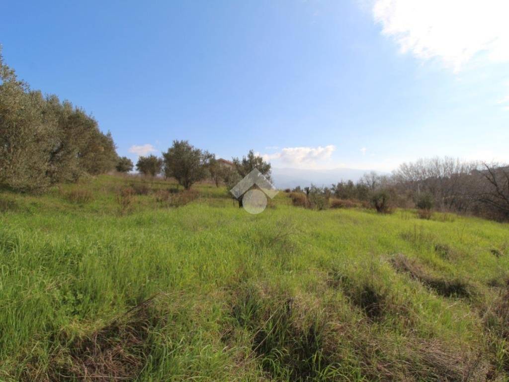 terreno agricolo in vendita a Montalto Uffugo