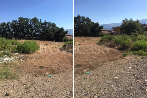 terreno agricolo in vendita a Montalto Uffugo in zona Salerni