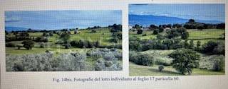 casa indipendente in vendita a Montalto Uffugo