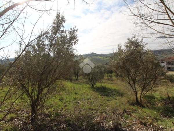 terreno agricolo in vendita a Montalto Uffugo in zona Taverna