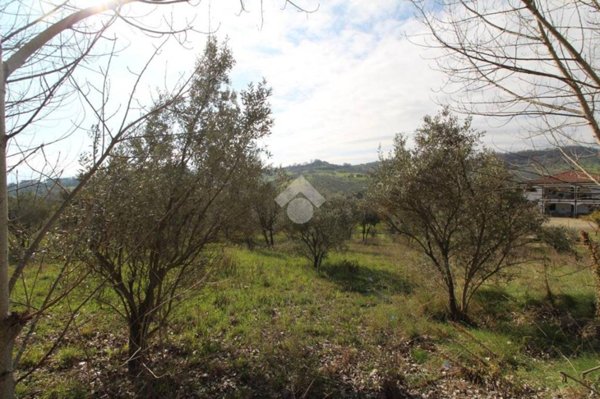 terreno agricolo in vendita a Montalto Uffugo in zona Taverna