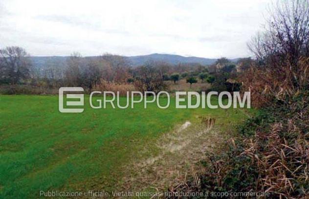 terreno agricolo in vendita a Montalto Uffugo