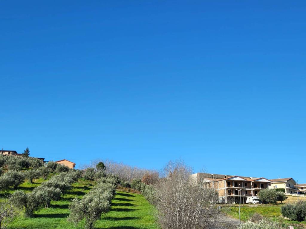 terreno agricolo in vendita a Montalto Uffugo
