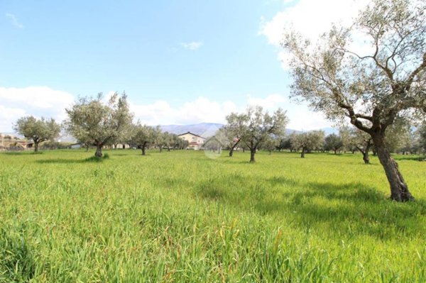 terreno agricolo in vendita a Montalto Uffugo in zona Settimo