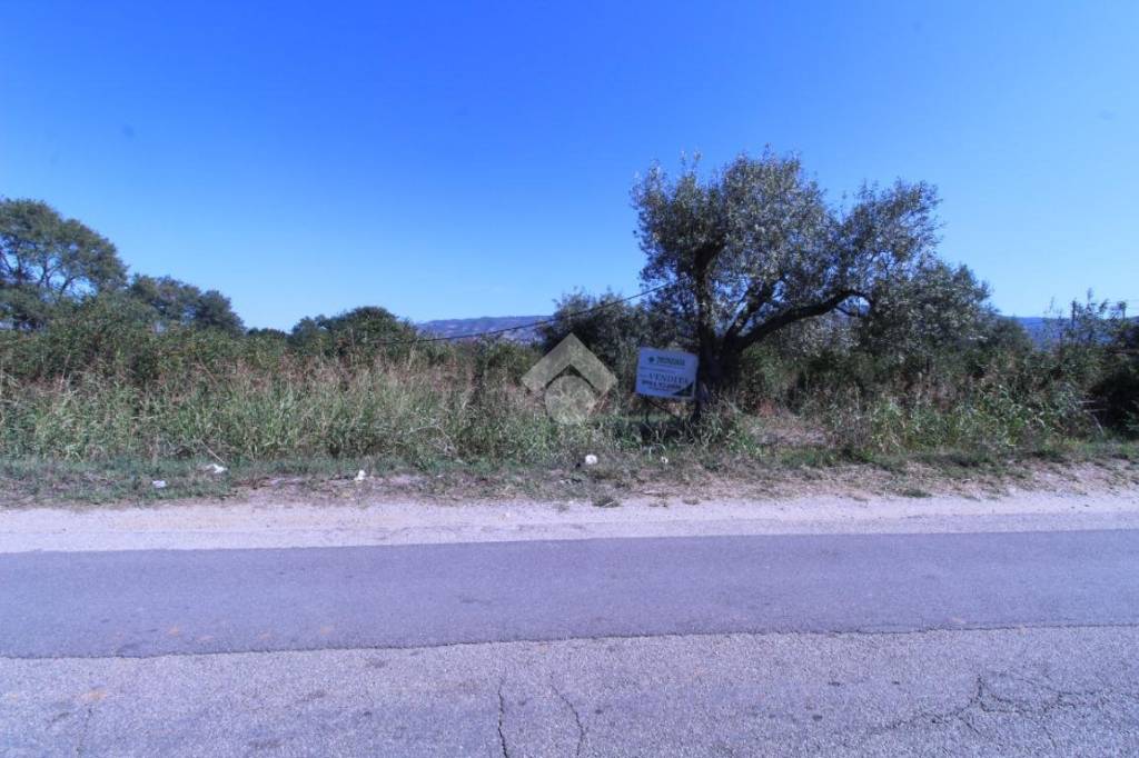 terreno agricolo in vendita a Montalto Uffugo in zona Taverna