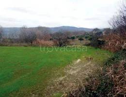 casa indipendente in vendita a Montalto Uffugo
