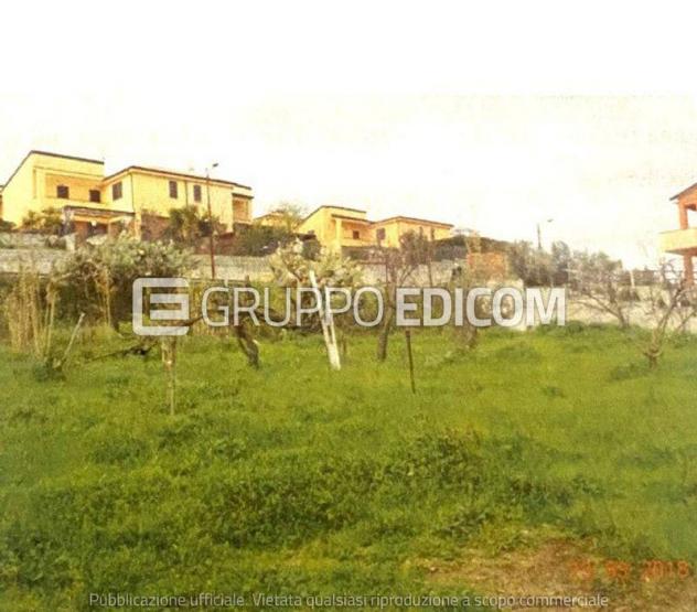 terreno agricolo in vendita a Montalto Uffugo in zona Lucchetta