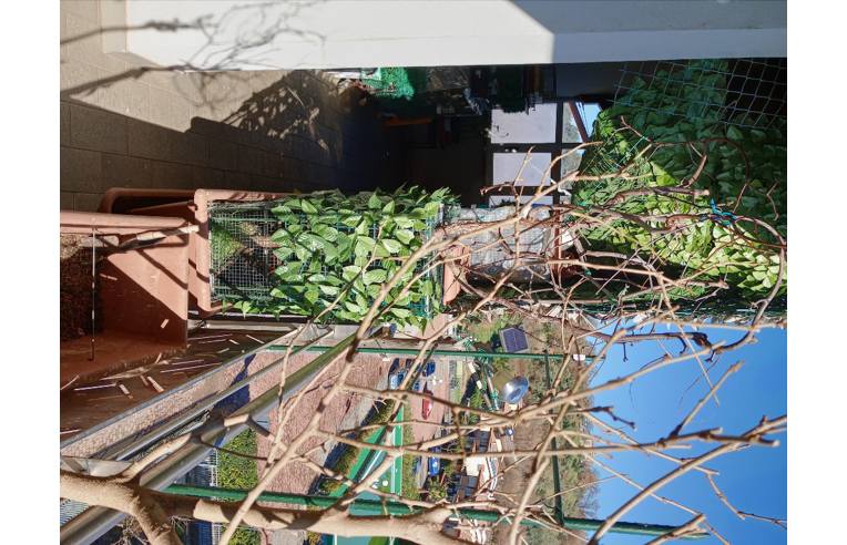 appartamento in vendita a Montalto Uffugo in zona Settimo