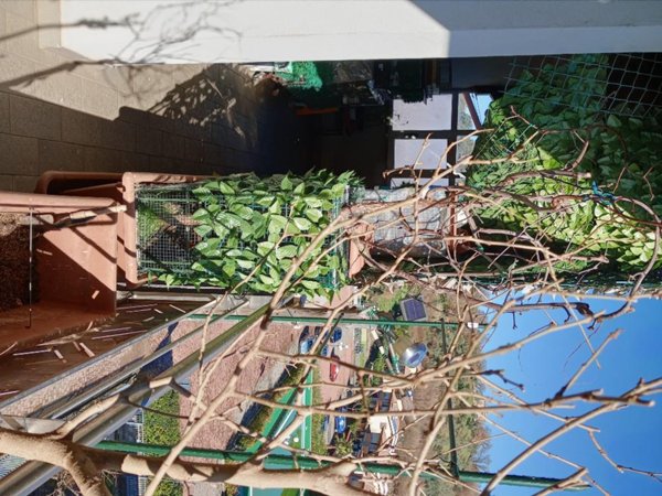 appartamento in vendita a Montalto Uffugo in zona Settimo