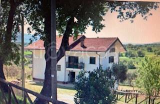 appartamento in vendita a Montalto Uffugo