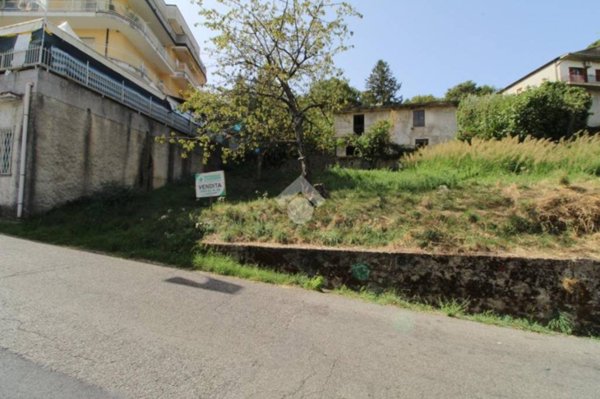 terreno agricolo in vendita a Montalto Uffugo